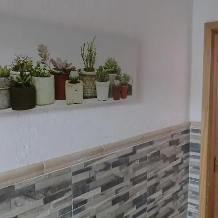 Frente Al Mar דירה